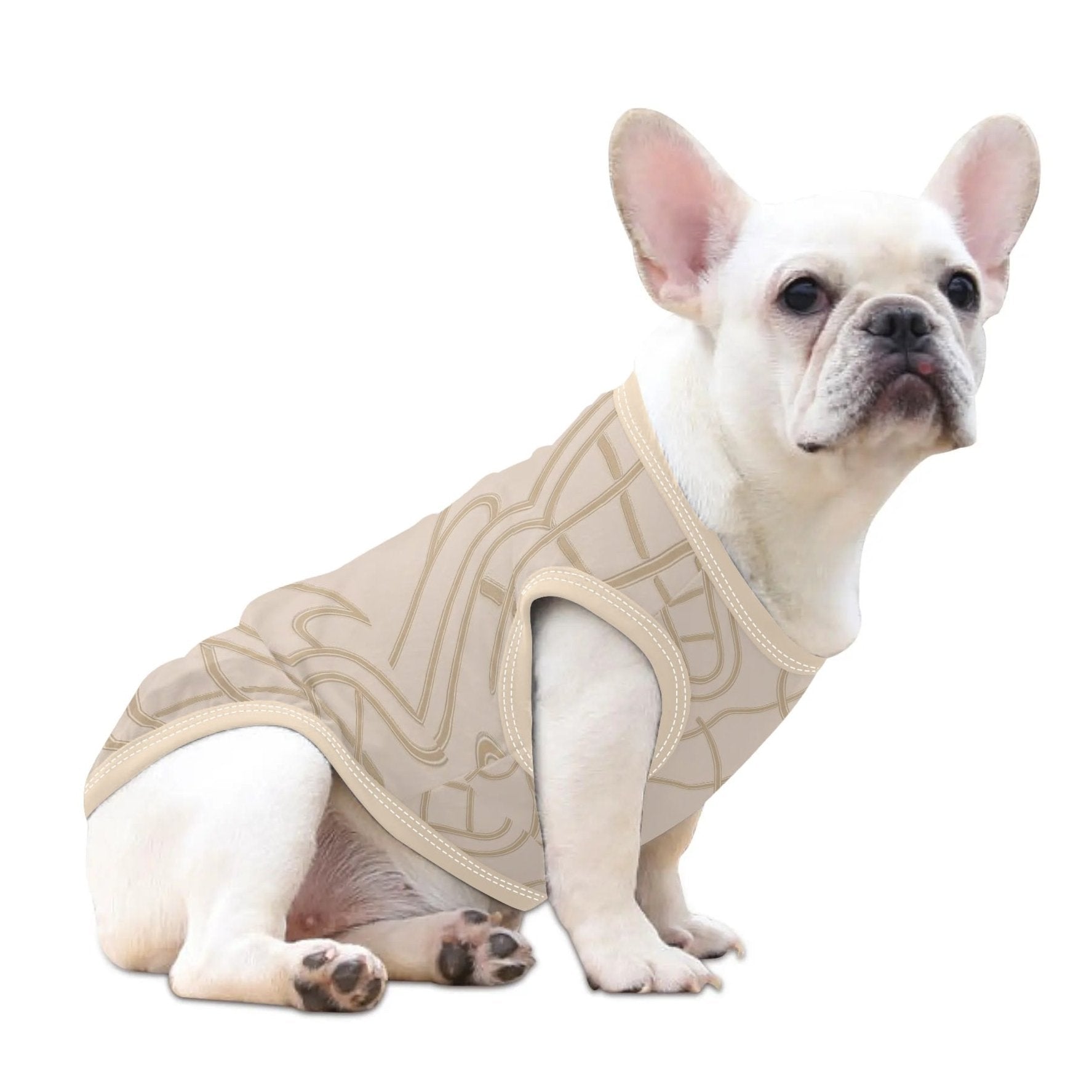 Buddy - Shirt for Frenchies - Frenchie Shop Original for Cozy Nights-fadou