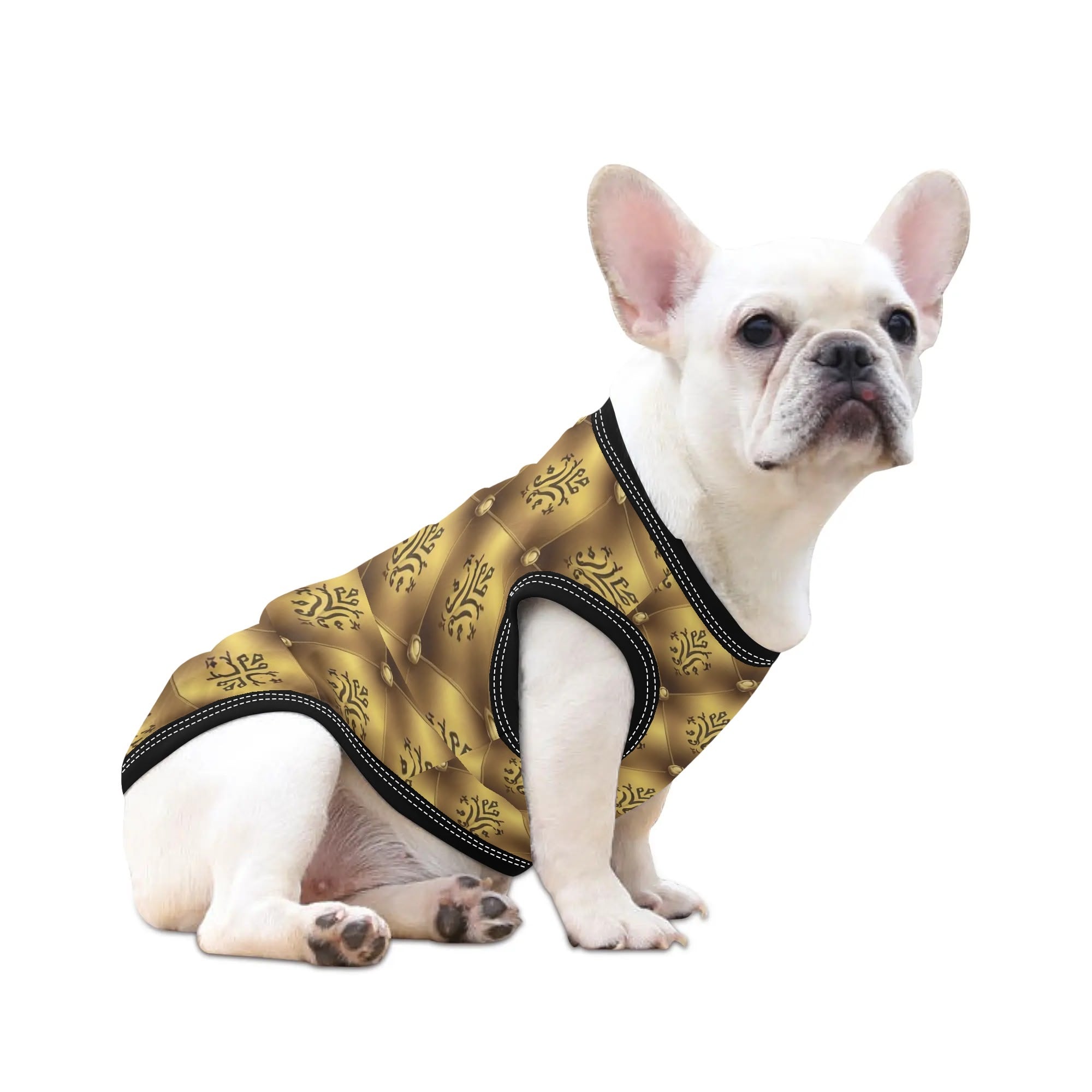 Rocky - Shirt for Frenchies - Frenchie Shop Original for Playtime Fun-fadou