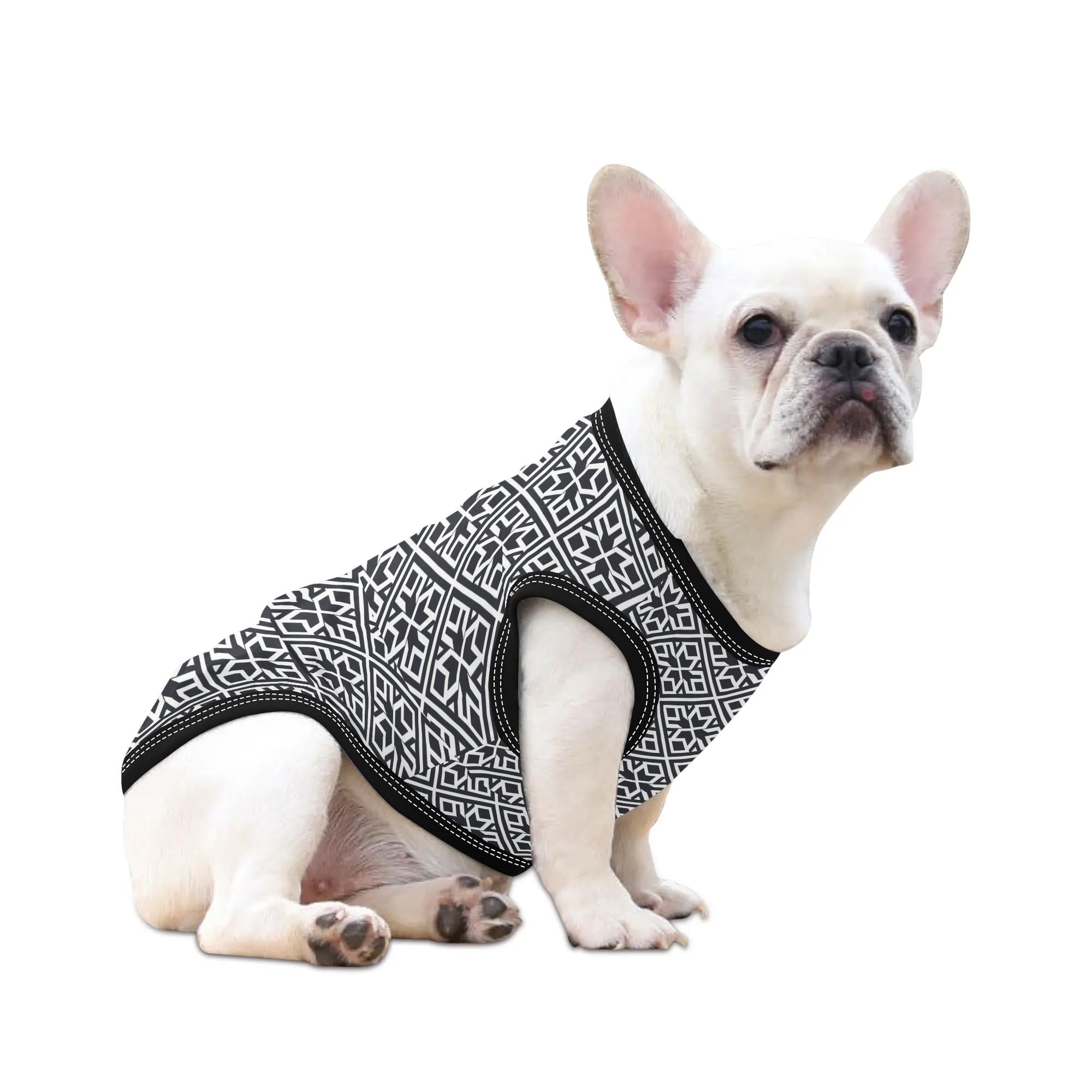 Luca - Shirt for Frenchies - Frenchie Shop Original for Flat-Face Breeds-fadou