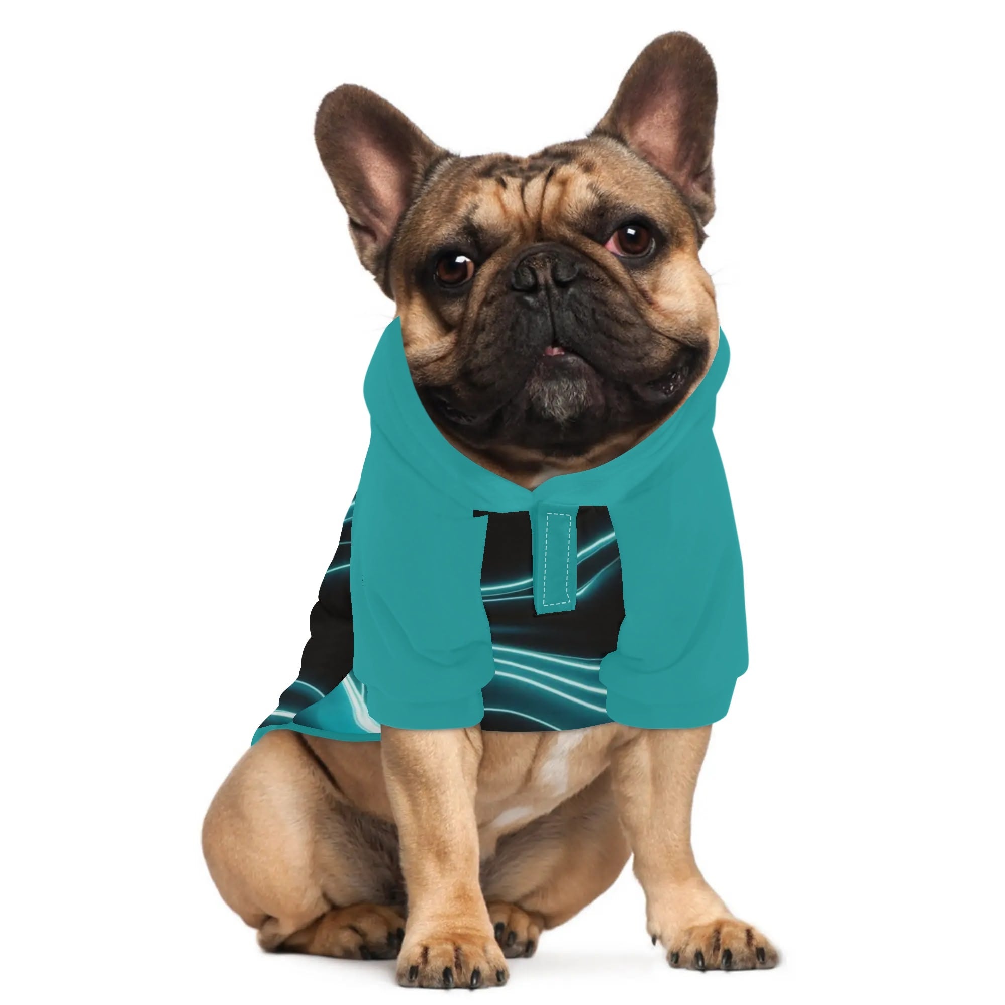 Gunther French Bulldog Dog Hoodie for Training Sessions-fadou