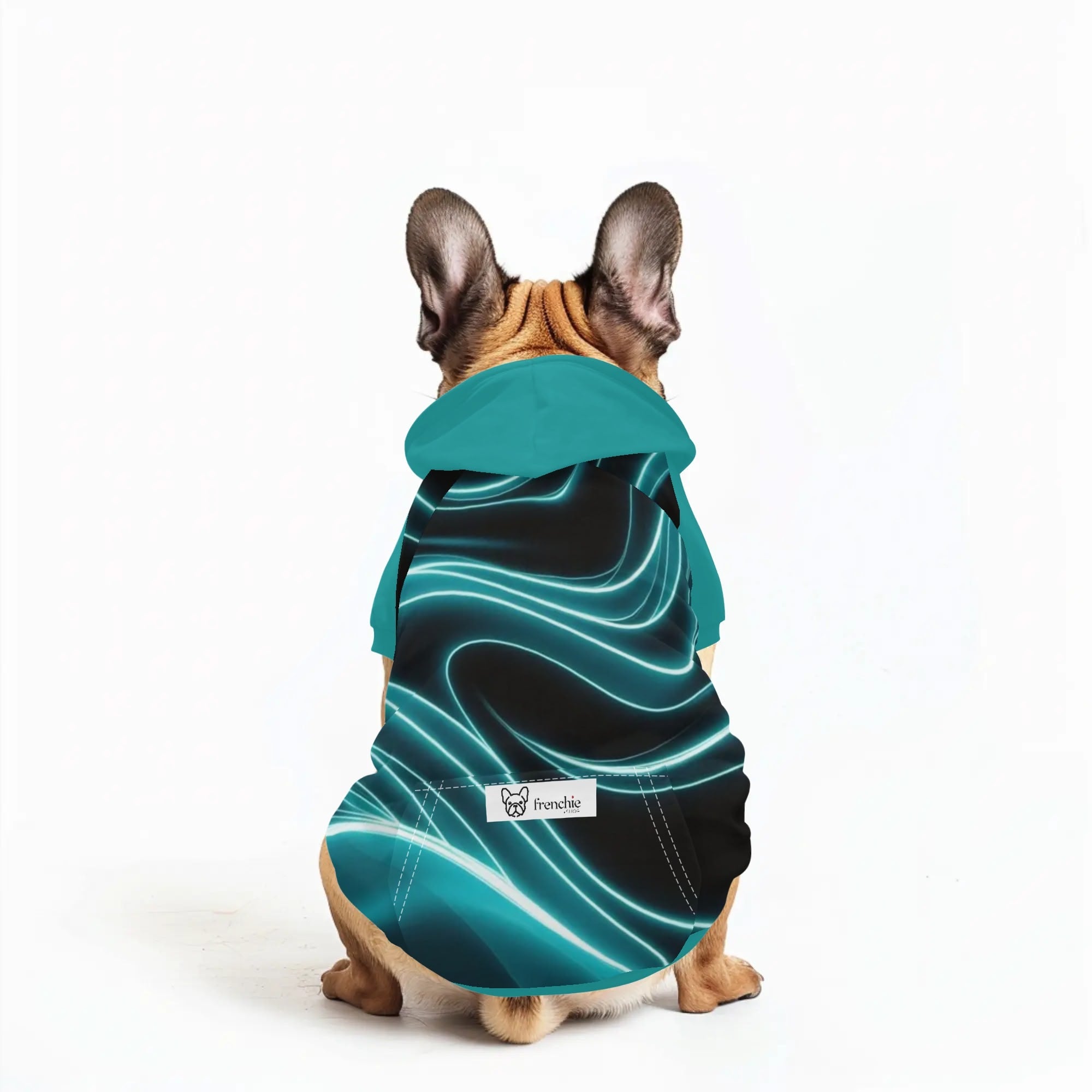 Gunther French Bulldog Dog Hoodie for Training Sessions-fadou