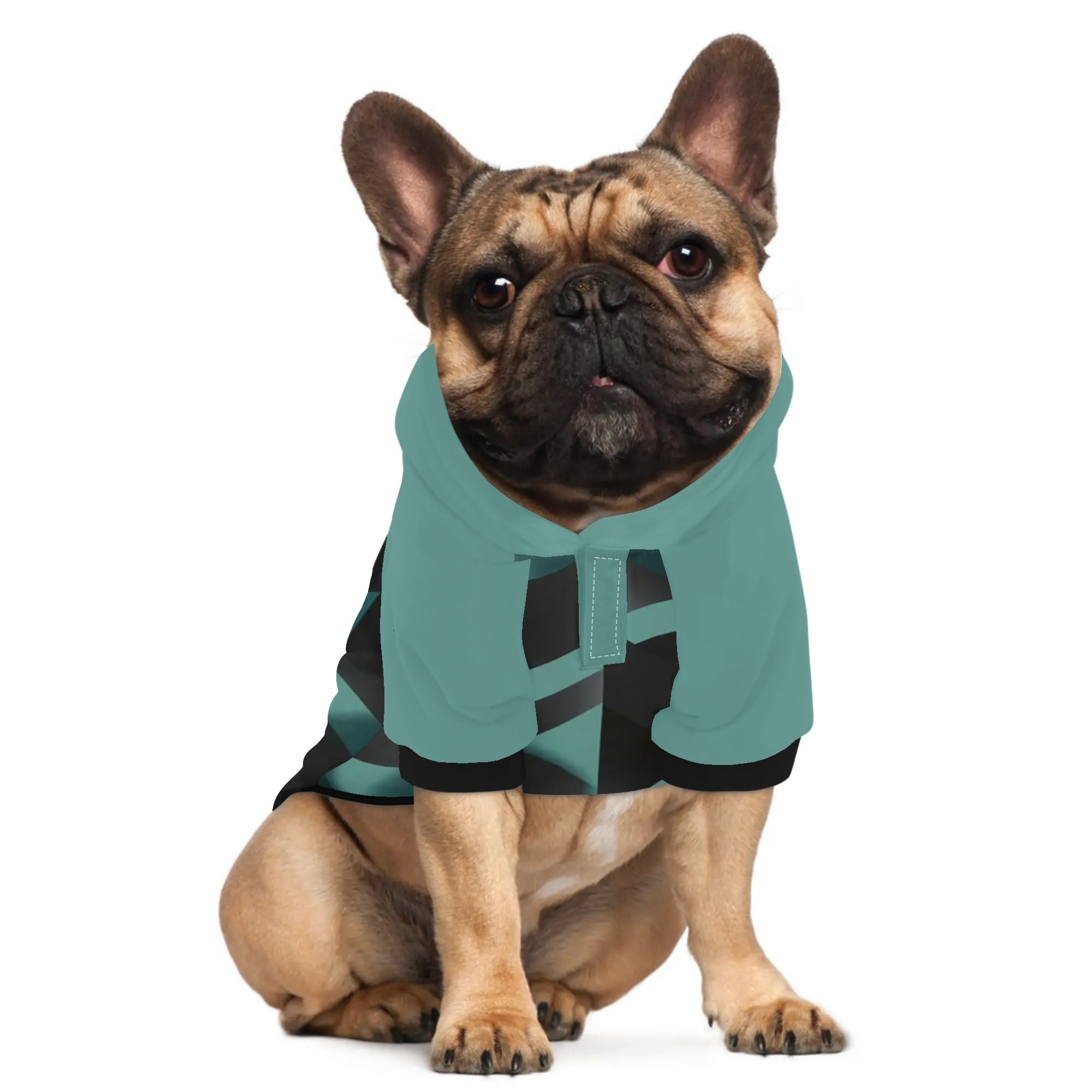Gus French Bulldog Pet Sweatshirt for Brachycephalic Dogs-fadou