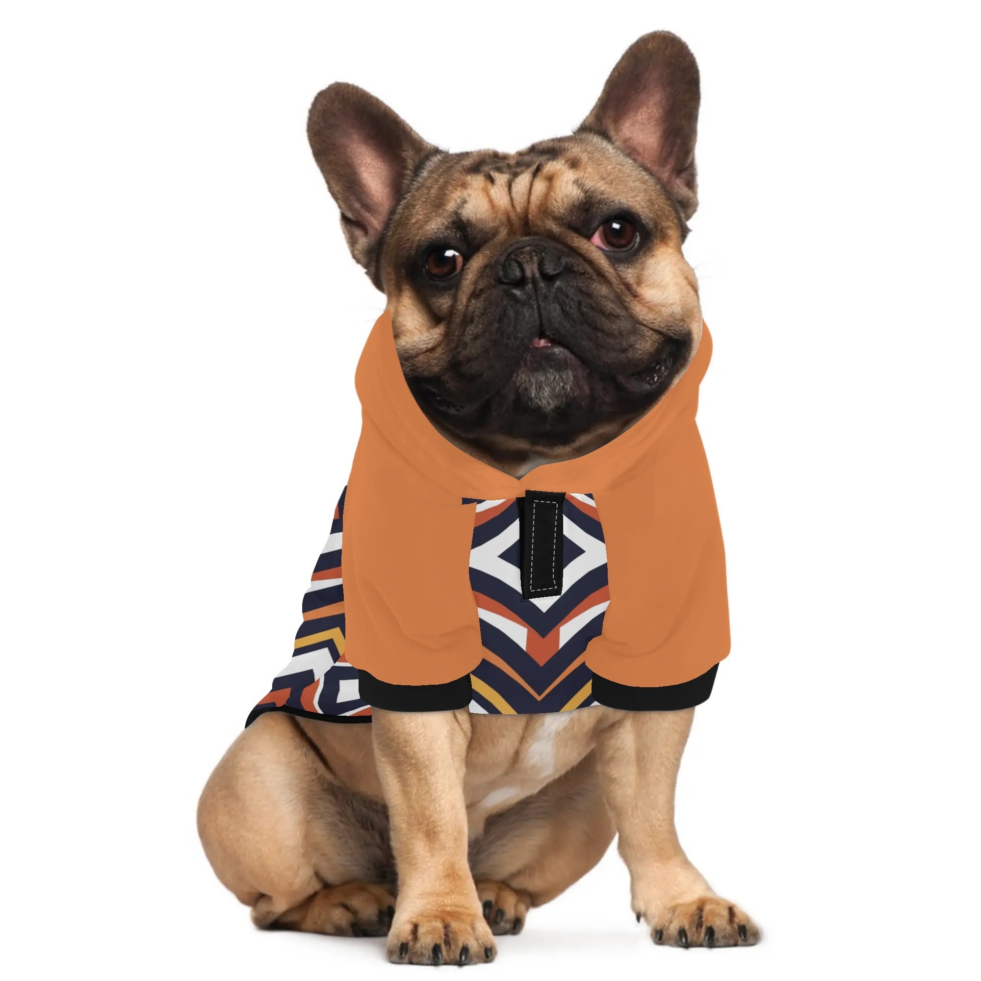 Chandler French Bulldog Pet Sweatshirt for Training Sessions-fadou