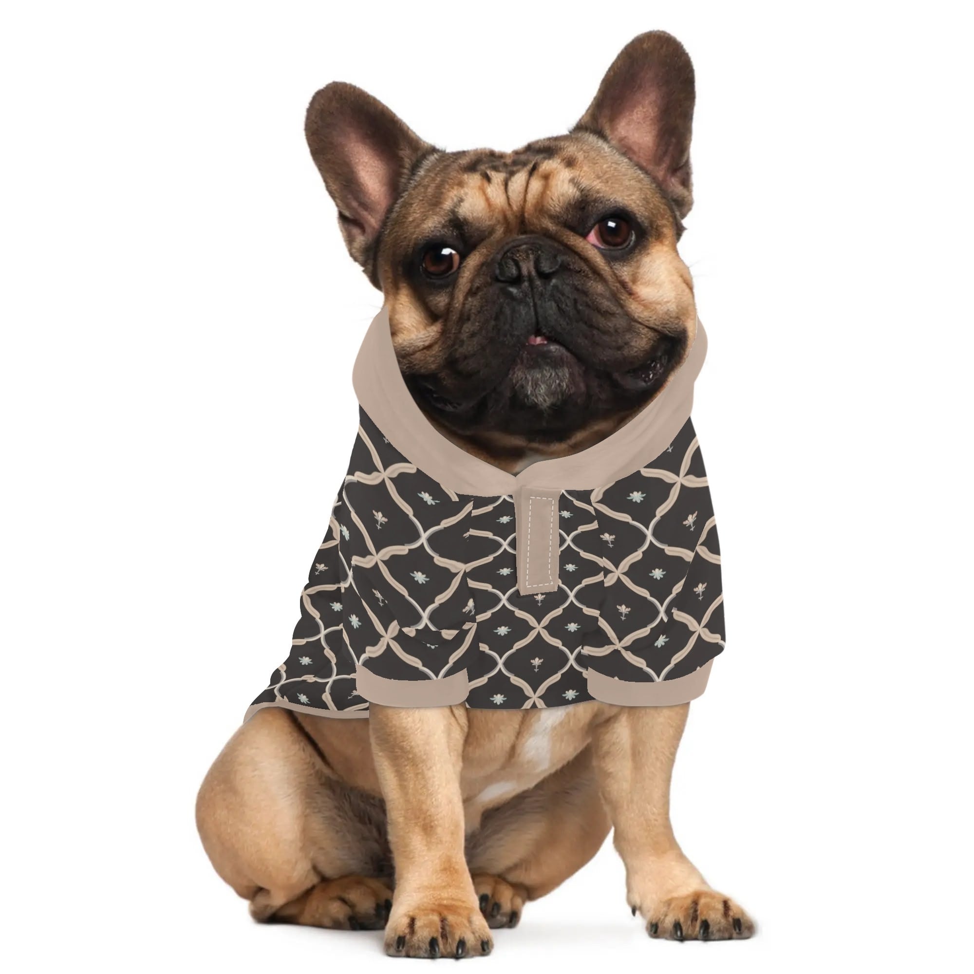 Willow French Bulldog Pet Sweatshirt for Travel Comfort-fadou