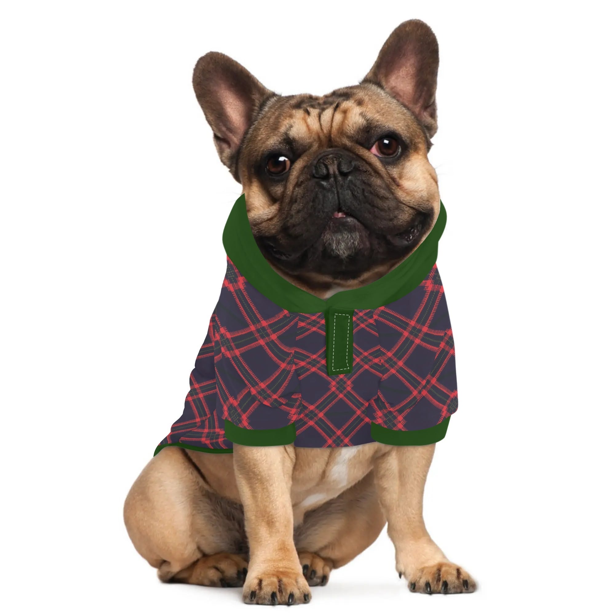 Princess French Bulldog Dog Hoodie for Outdoor Adventures-fadou