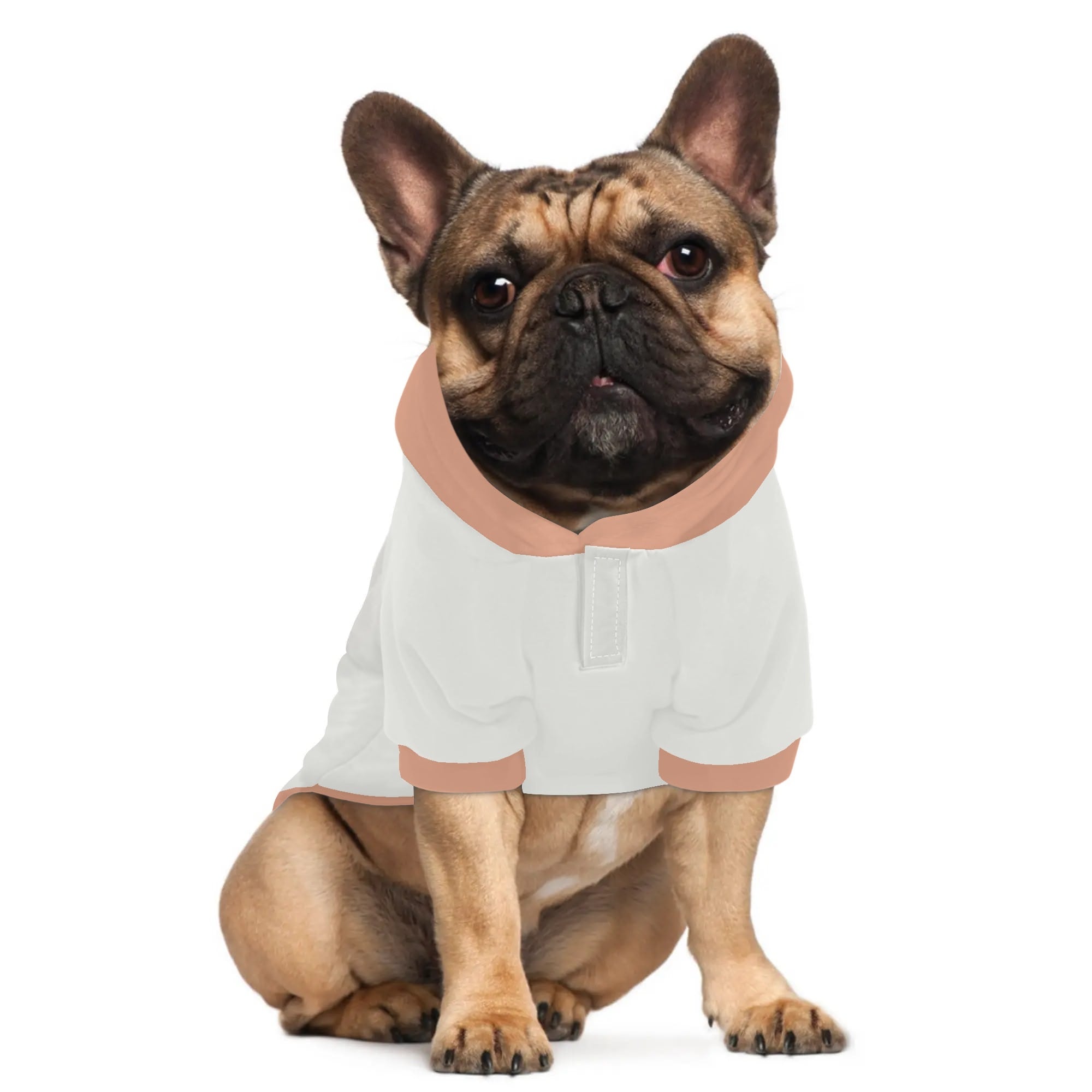 Dixie French Bulldog Pet Sweatshirt for French Bulldogs-fadou