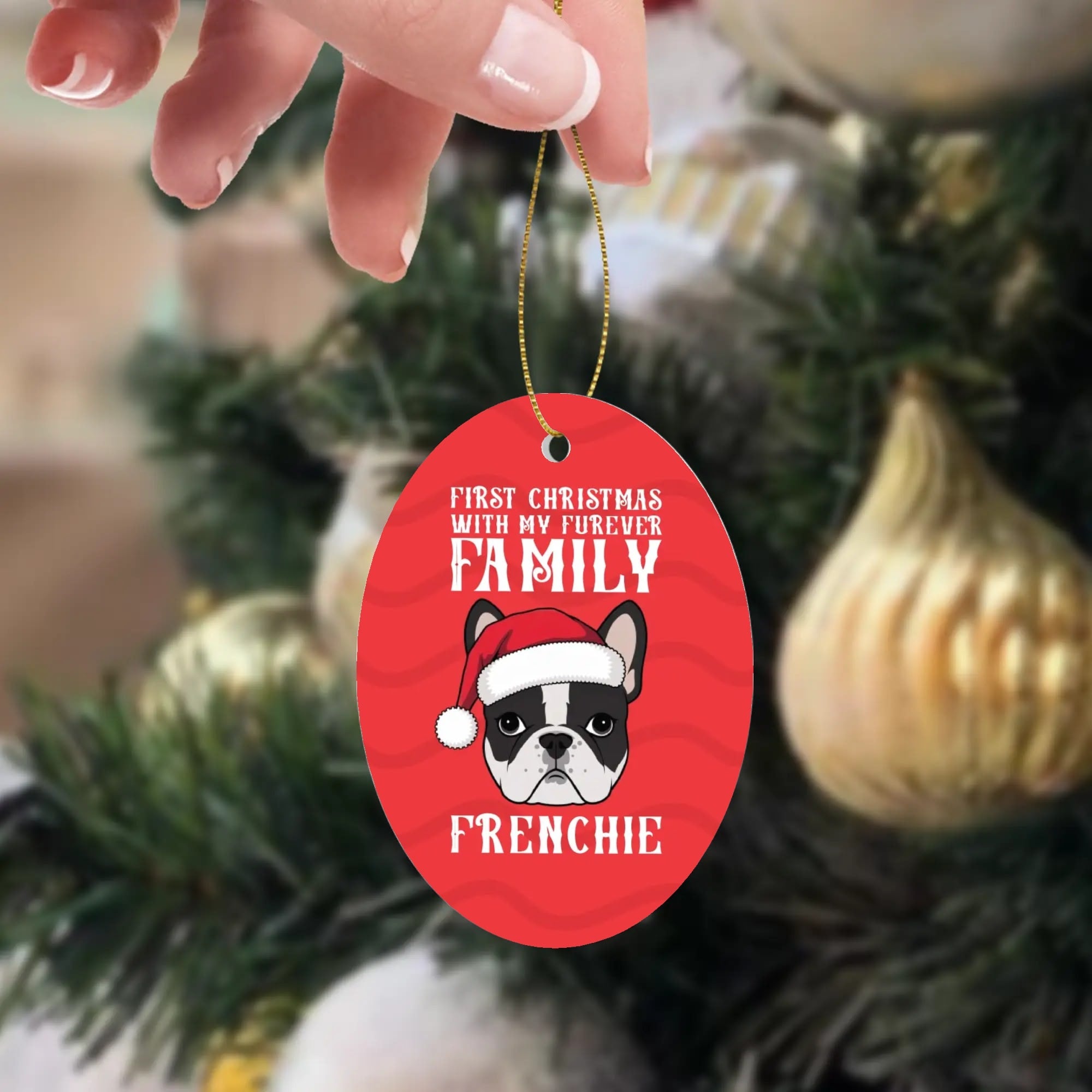 Rocky French Bulldog Accessory for Frenchie Enthusiasts-fadou