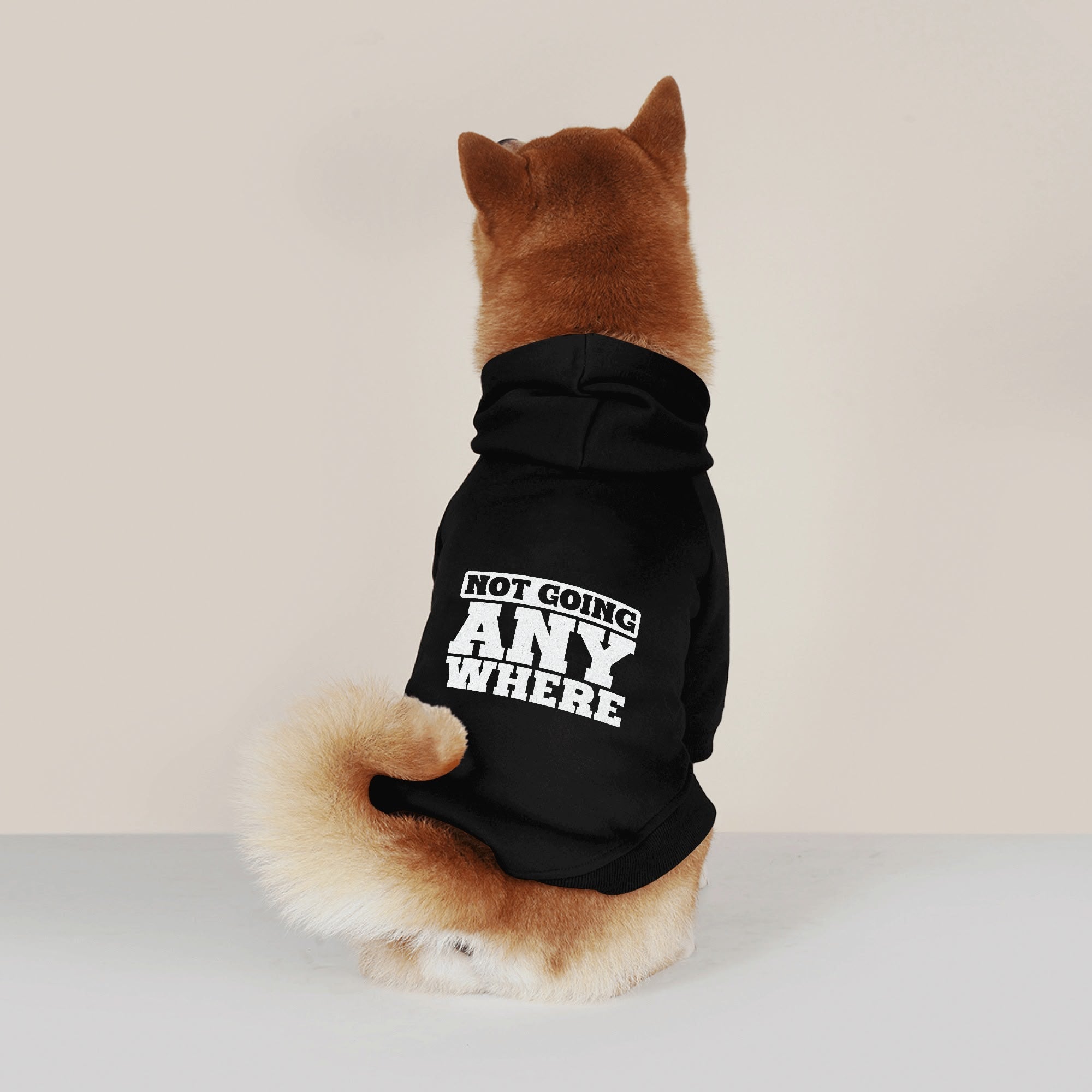 Wanted French Bulldog Dog Hoodie for Brachycephalic Dogs-fadou