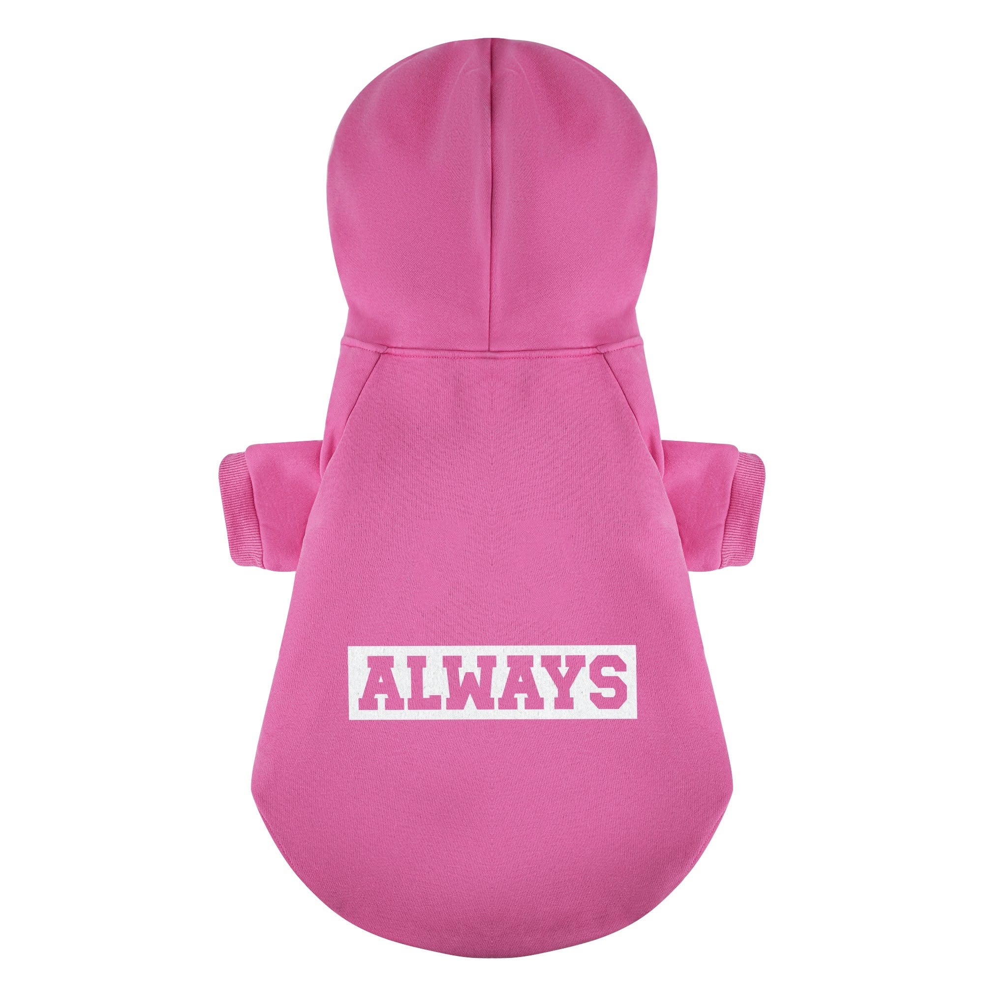 NAP French Bulldog Pet Sweatshirt for Training Sessions-fadou