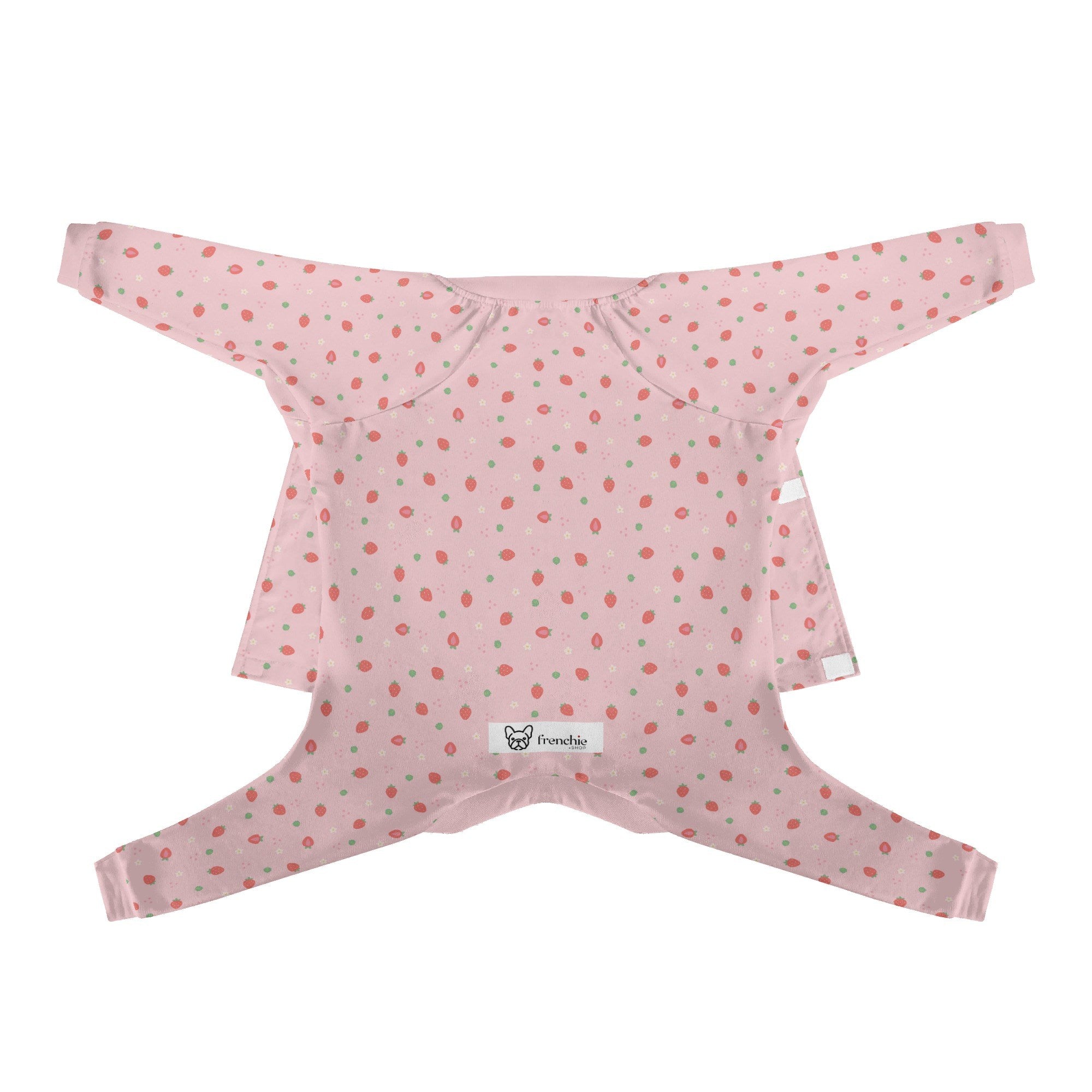 Bella French Bulldog Pet Product for Outdoor Adventures-fadou