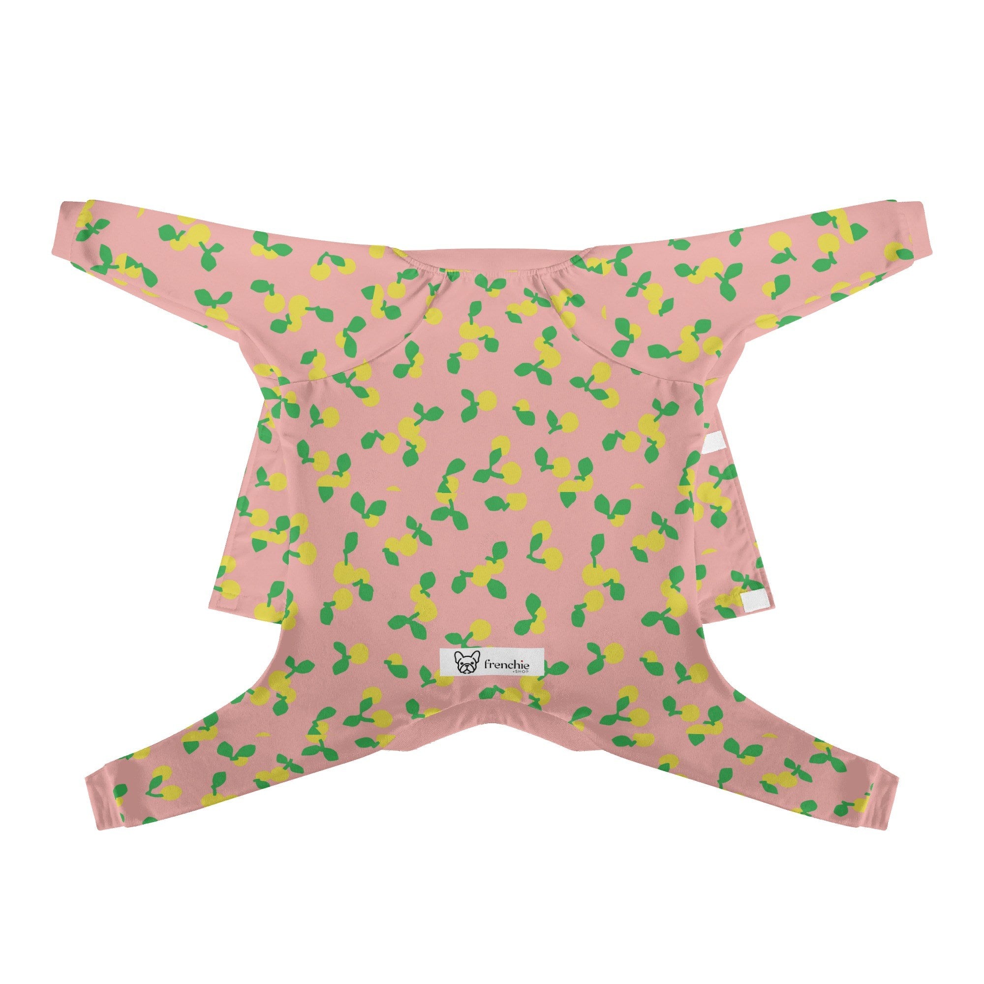 Luna French Bulldog Dog Accessory for Training Sessions-fadou
