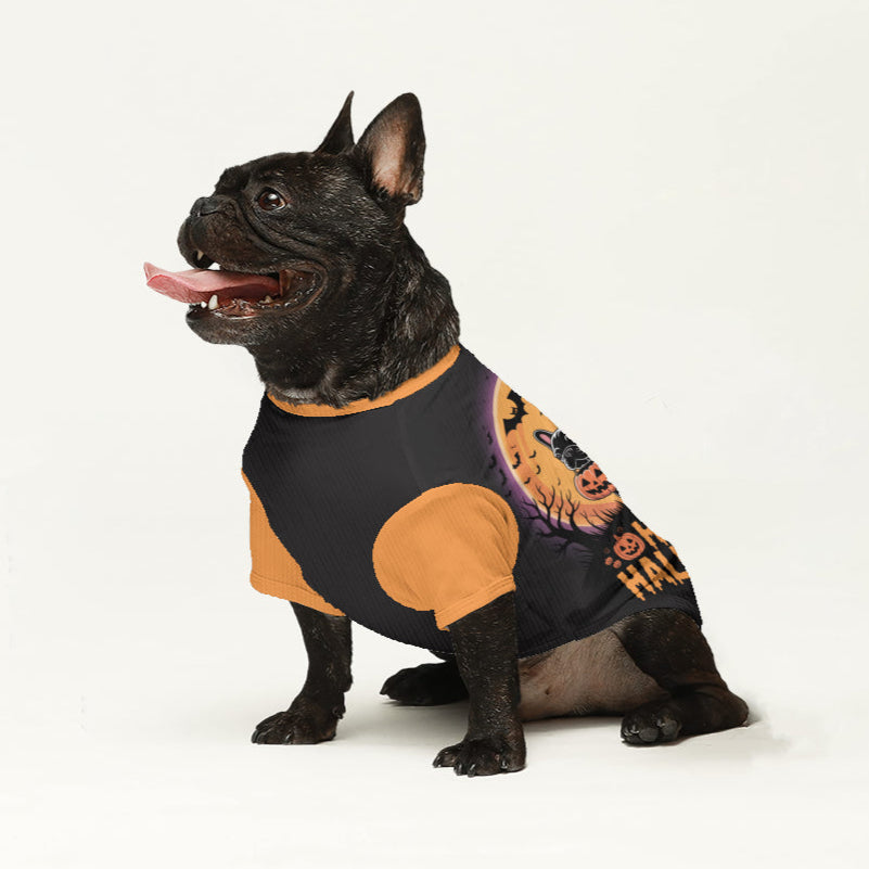 Sheila French Bulldog Warm Knitwear for Outdoor Adventures-fadou