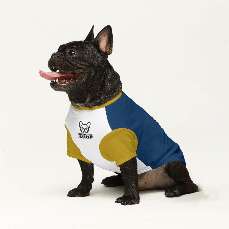Mazie French Bulldog Warm Knitwear for Outdoor Adventures-fadou