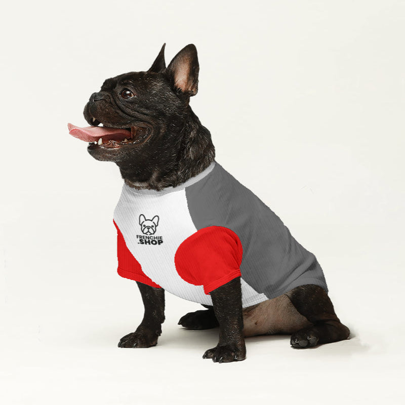 Louie French Bulldog Warm Knitwear for Short-Nosed Dogs-fadou