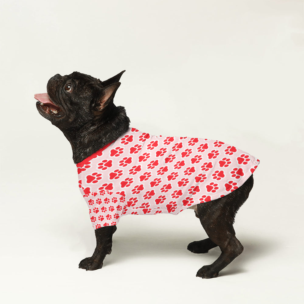 Dex French Bulldog Knit Sweater for Brachycephalic Dogs-fadou