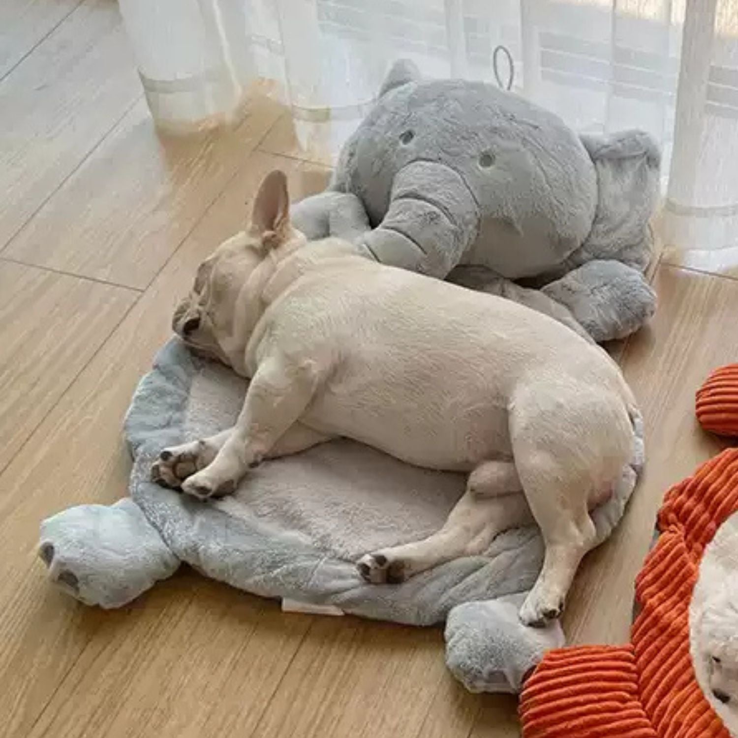 French Bulldog Winter Cozy Sofa Bed for French Bulldogs-fadou
