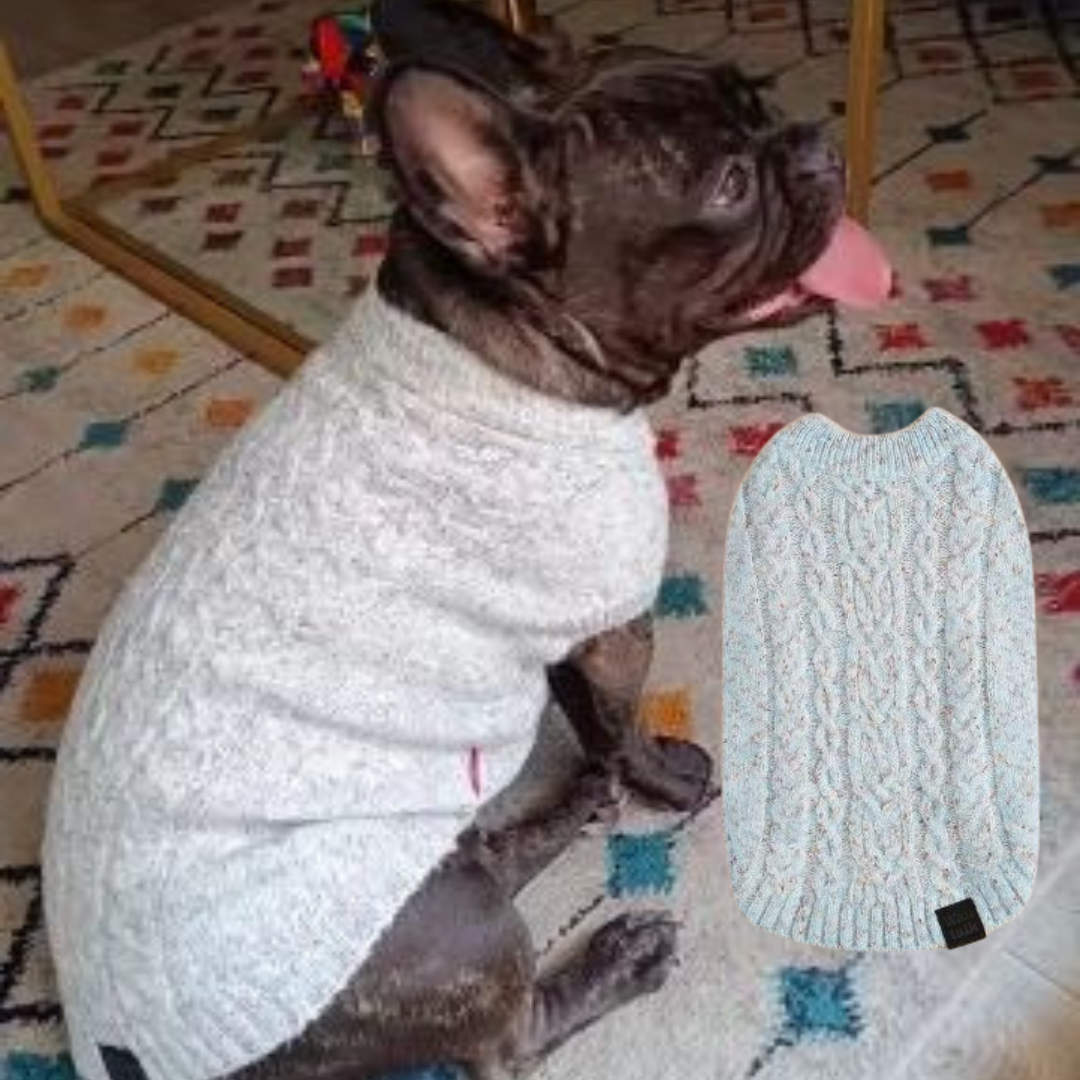 French Bulldog Premium Fleece Hoodie for Travel Comfort-fadou