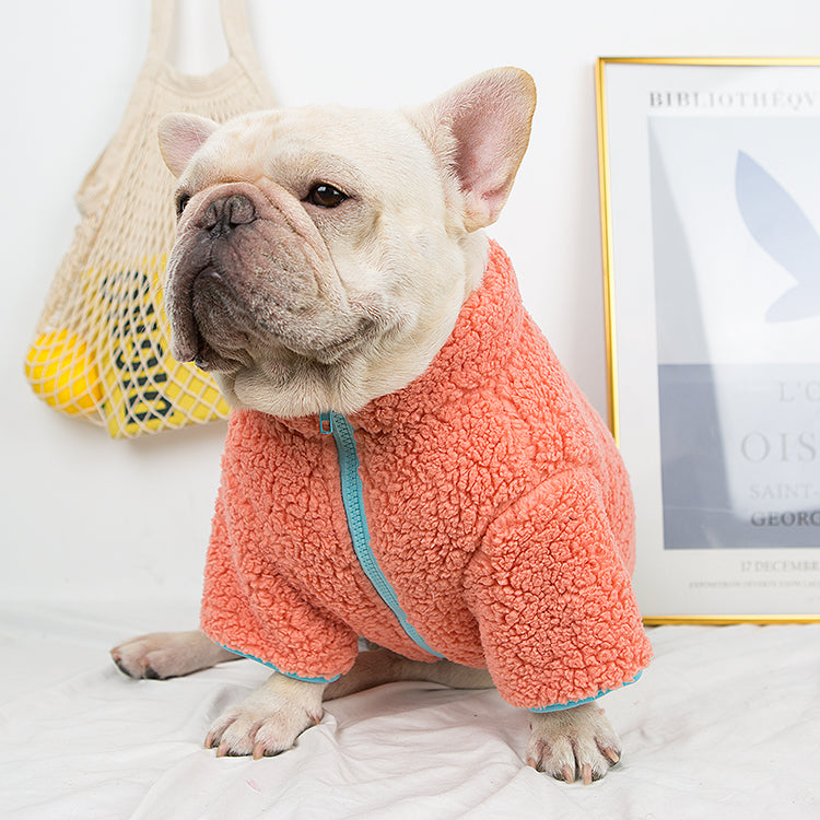 French Bulldog Winter Dog Accessory for Short-Nosed Dogs-fadou