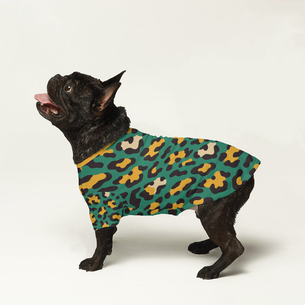 Ezra - Wool Sweater for Brachycephalic Dogs for French Bulldogs-fadou
