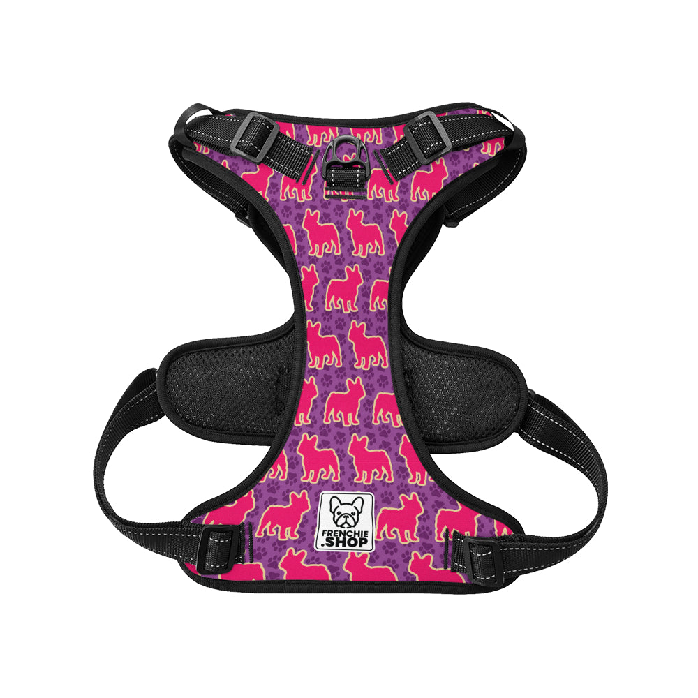 Mansel French Bulldog Chest Harness for Training Sessions-fadou