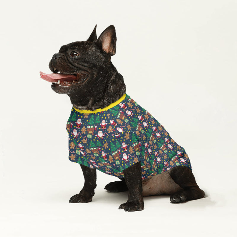 Buster French Bulldog Knit Sweater for Short-Nosed Dogs-fadou