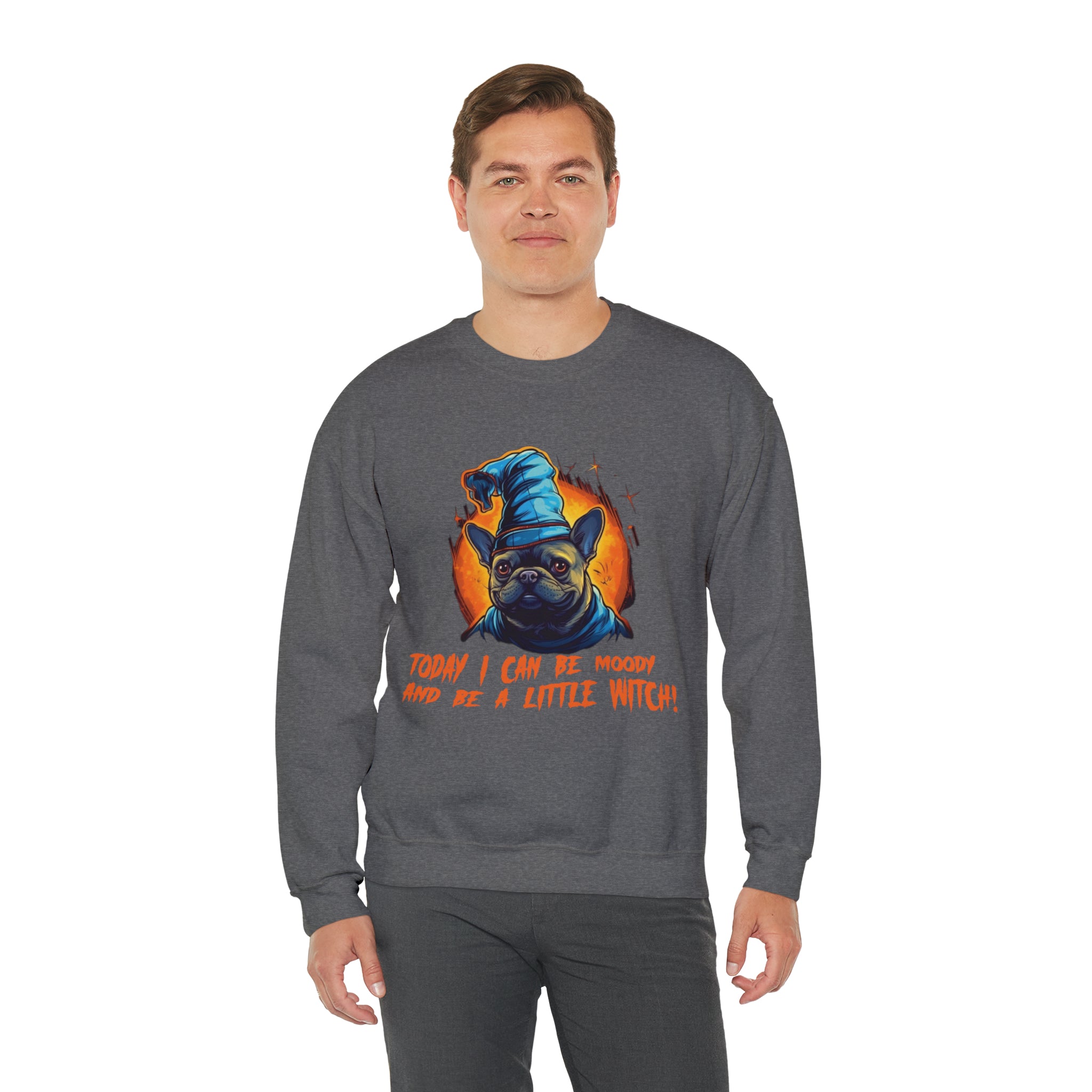 Little Halloween Pet Parent Pullover for Frenchie Enthusiasts-fadou