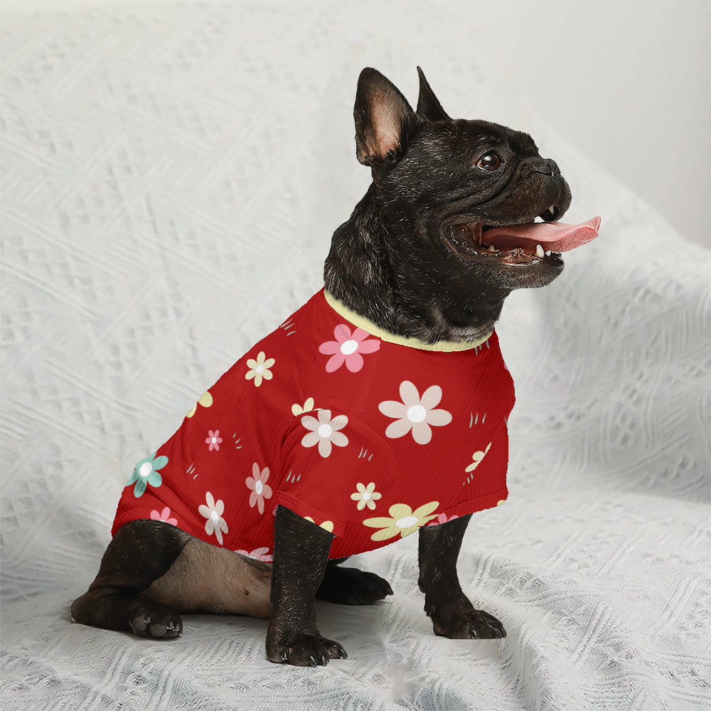 Como French Bulldog Knit Sweater for Outdoor Adventures-fadou