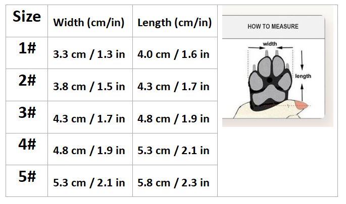 French Bulldog Stylish Protective Booties for Training Sessions-fadou