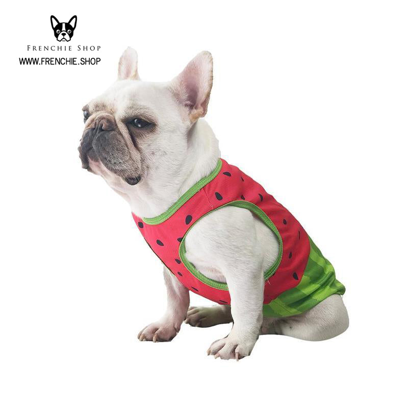 Coolify™ V2: Summer Cooling Shirt for Dog Lovers and Owners-fadou