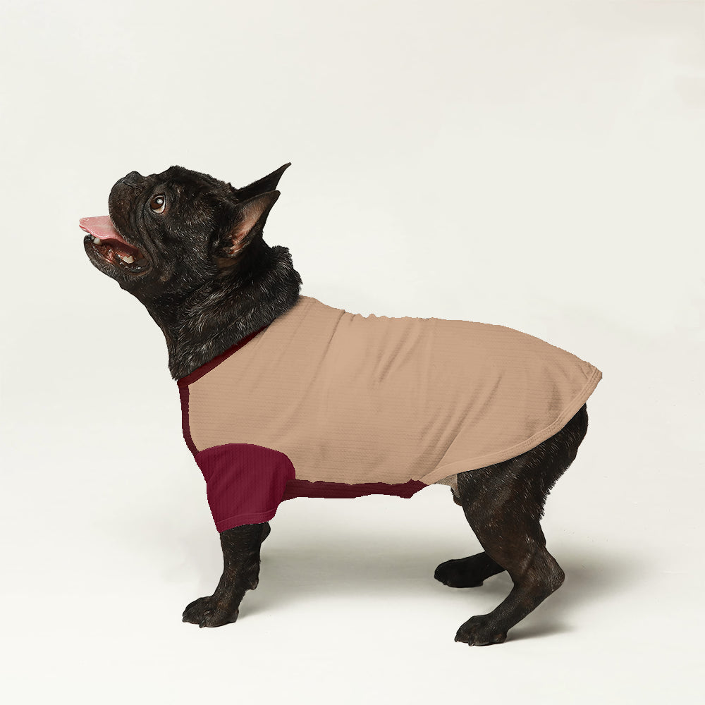 Violet French Bulldog Pet Sweater for Training Sessions-fadou