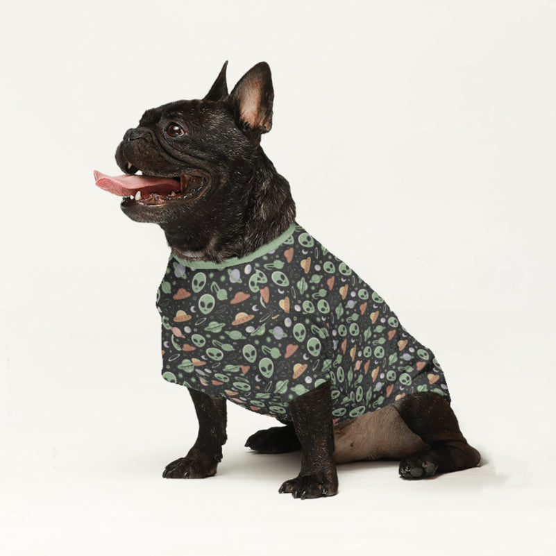 Marisa French Bulldog Dog Jumper for Outdoor Adventures-fadou