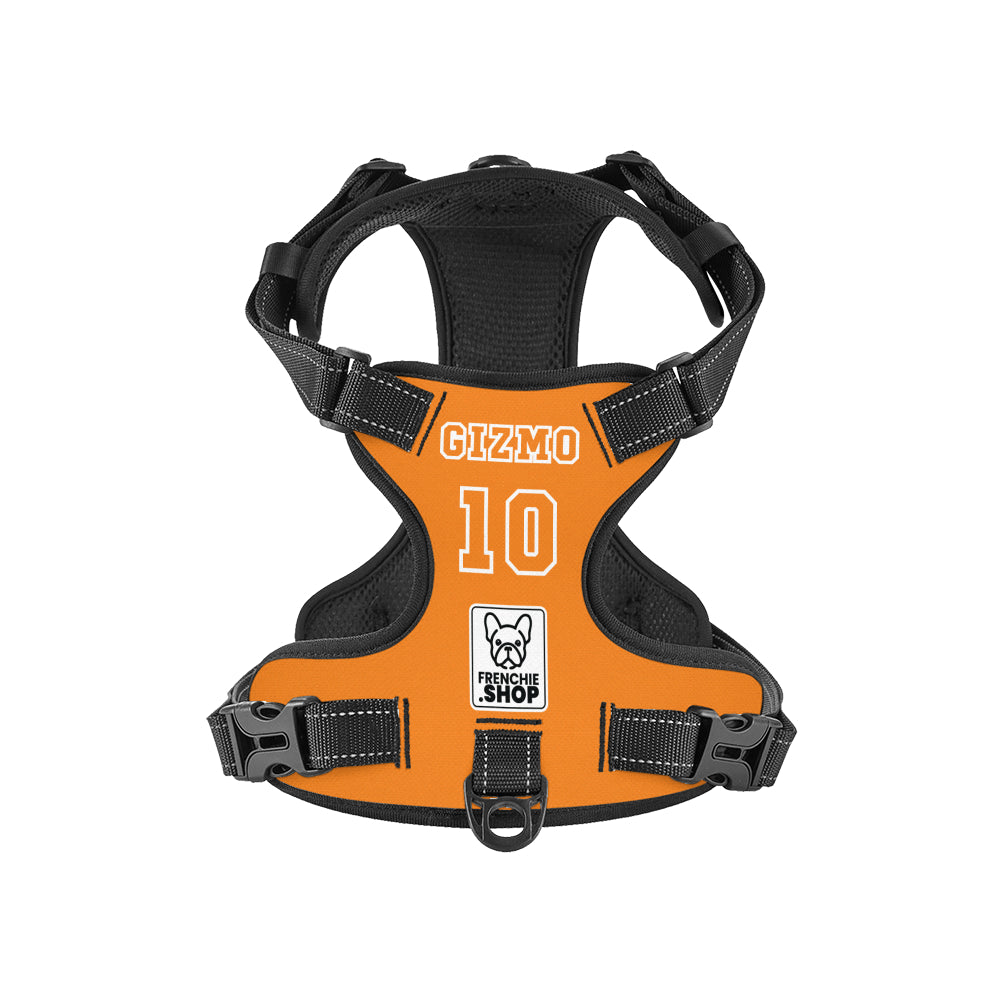 Personalized No-Pull Chest Harness for Flat-Face Breeds-fadou