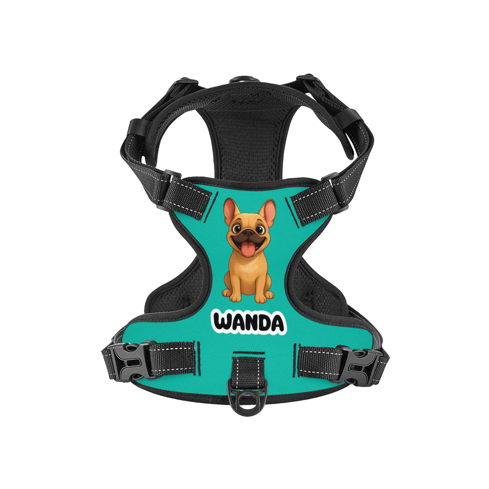 Personalized No-Pull No-Pull Vest for Training Sessions-fadou