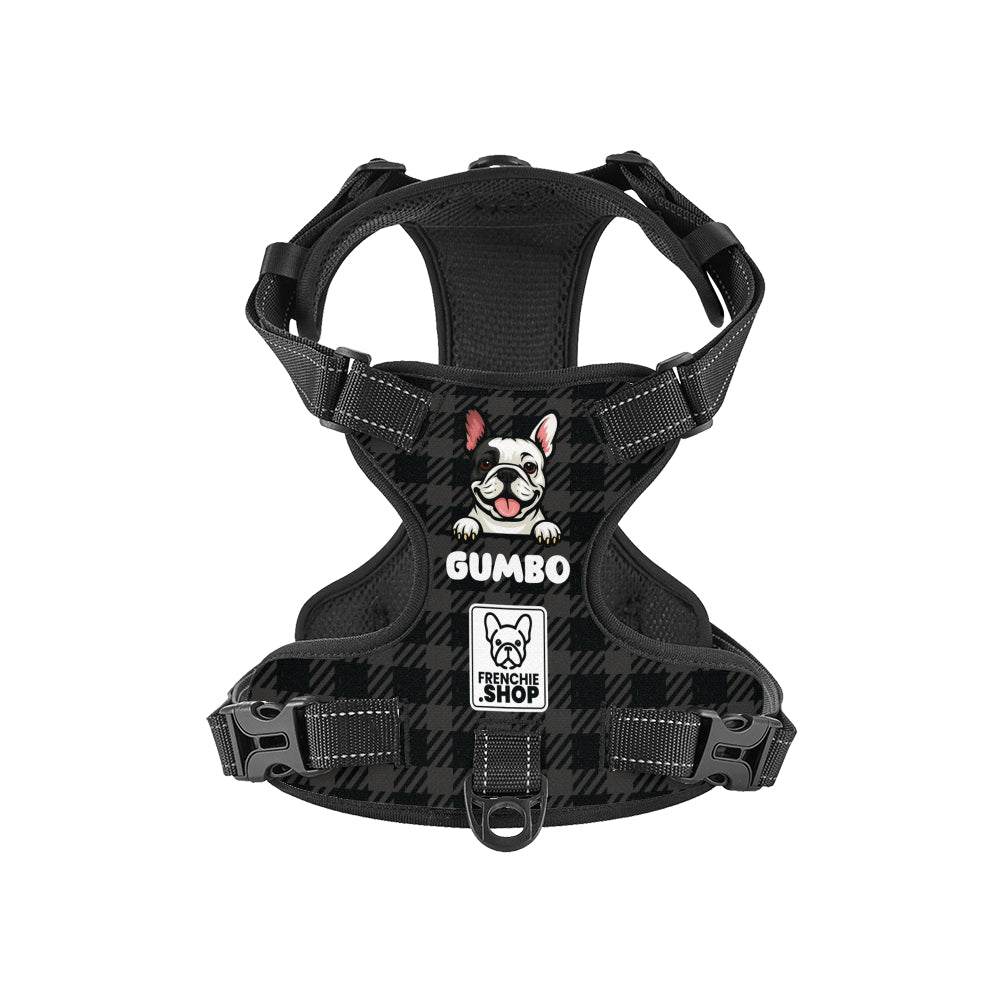 Personalized No-Pull Chest Harness for Brachycephalic Dogs-fadou