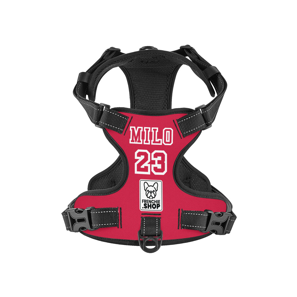 Personalized No-Pull Walking Harness for French Bulldogs-fadou