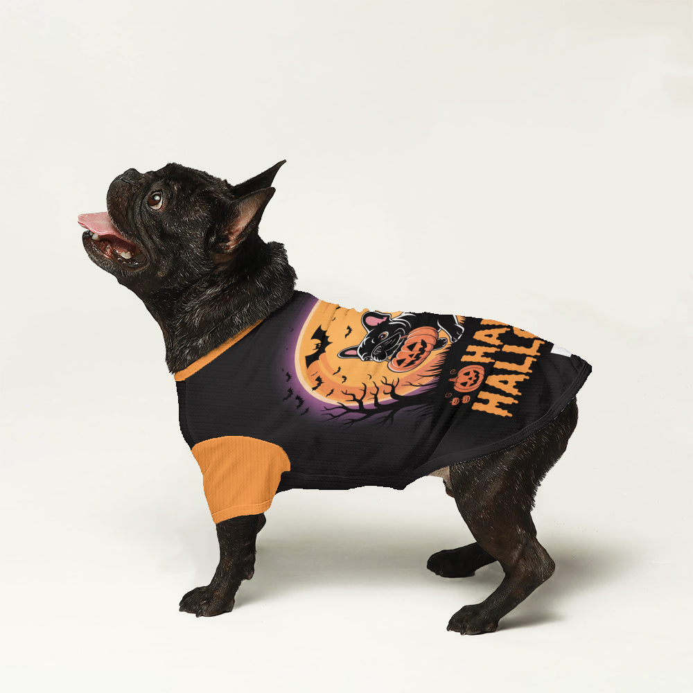 Sheila French Bulldog Warm Knitwear for Outdoor Adventures-fadou