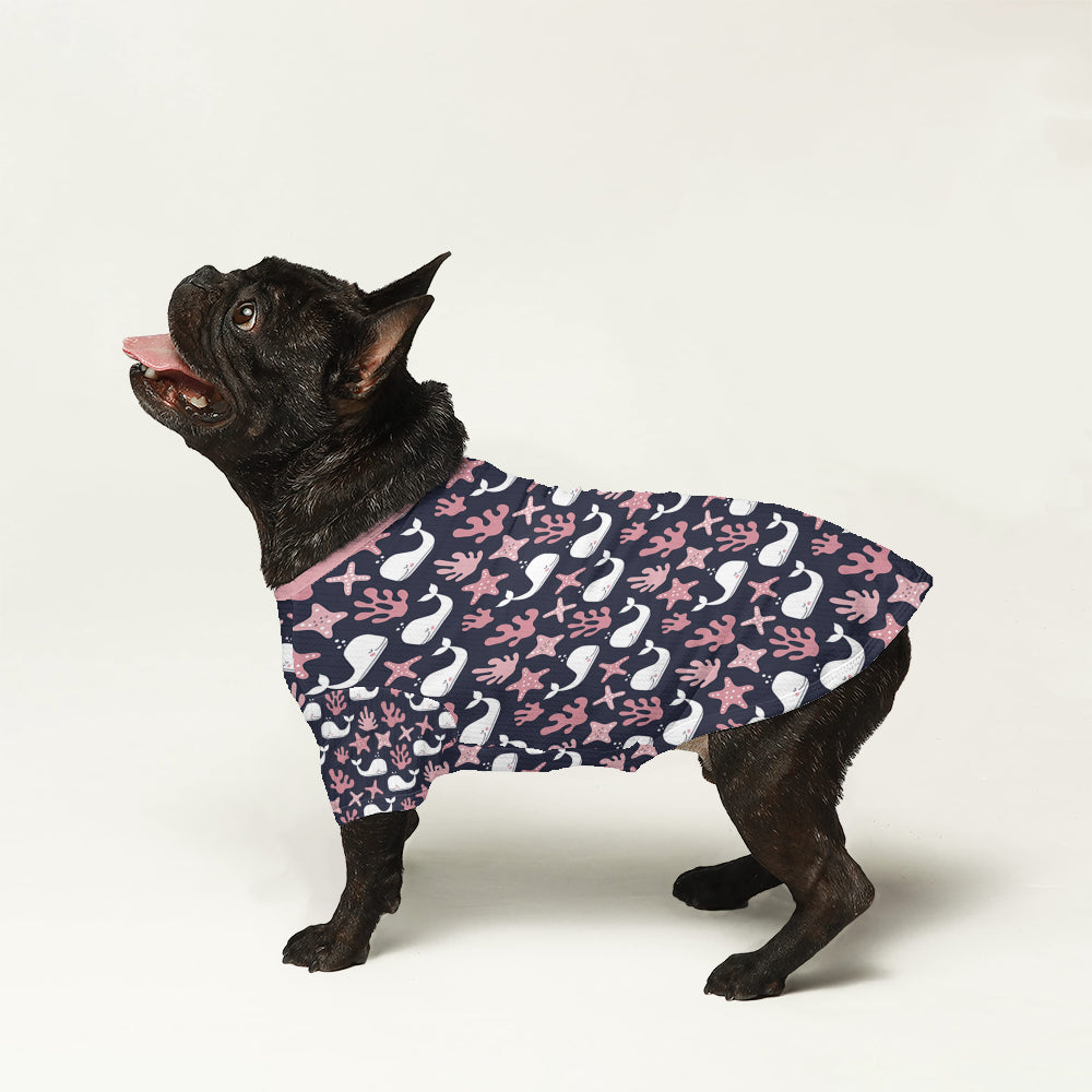 Covi French Bulldog Warm Knitwear for Training Sessions-fadou