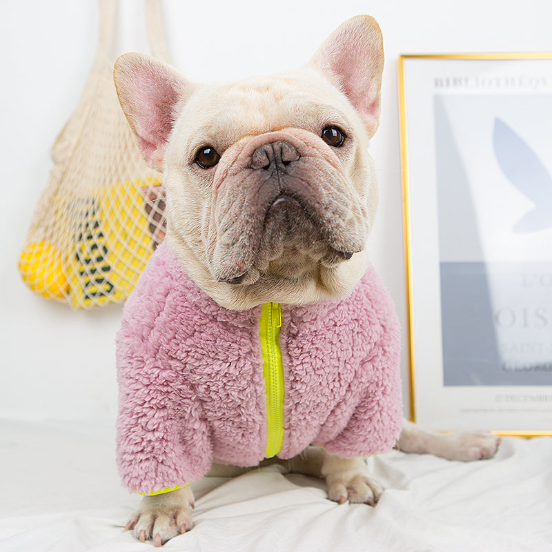 French Bulldog Winter Dog Accessory for Short-Nosed Dogs-fadou