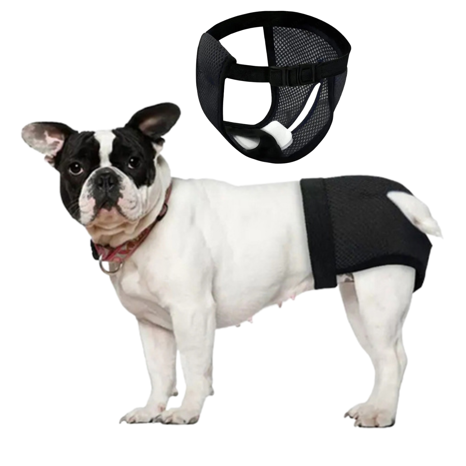 Leak-Proof Frenchie Diaper Hygienic Panties for for French Bulldogs-fadou