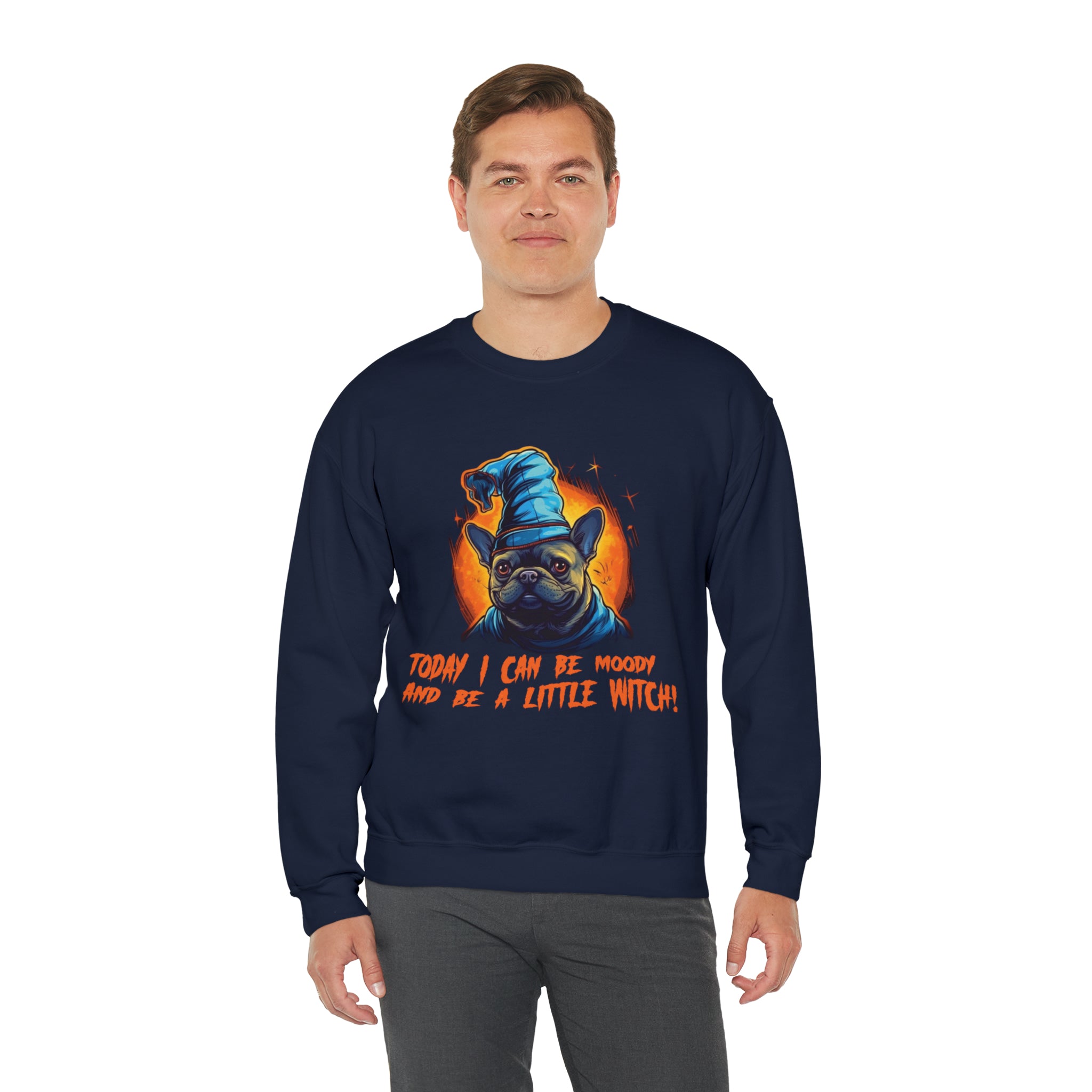 Little Halloween Pet Parent Pullover for Frenchie Enthusiasts-fadou