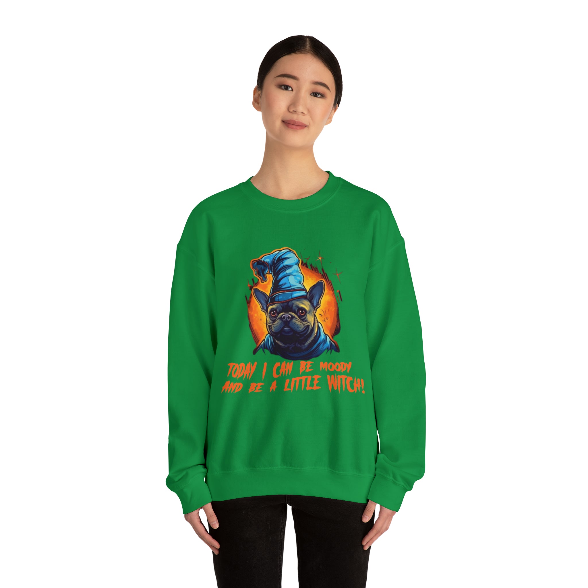 Little Halloween Pet Parent Pullover for Frenchie Enthusiasts-fadou