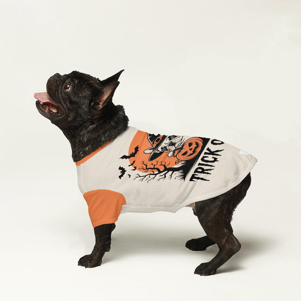 Laura French Bulldog Knit Sweater for Training Sessions-fadou