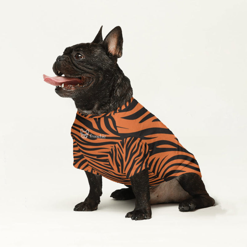 Axel - Wool Sweater for Brachycephalic Dogs for French Bulldogs-fadou