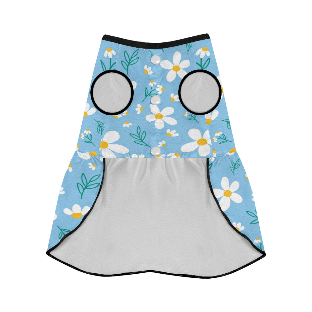 Kennedy French Bulldog Summer Dress for Training Sessions-fadou