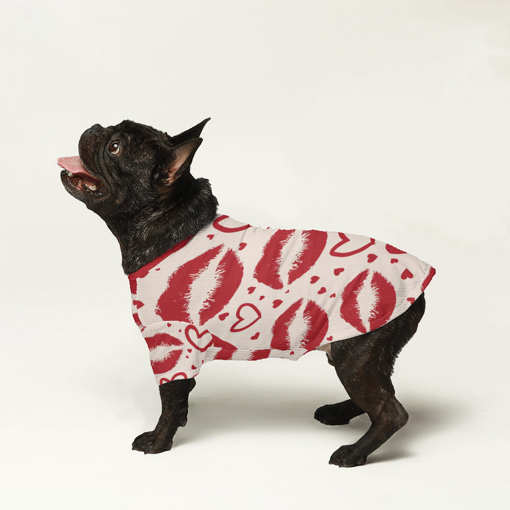 Boone French Bulldog Warm Knitwear for Short-Nosed Dogs-fadou