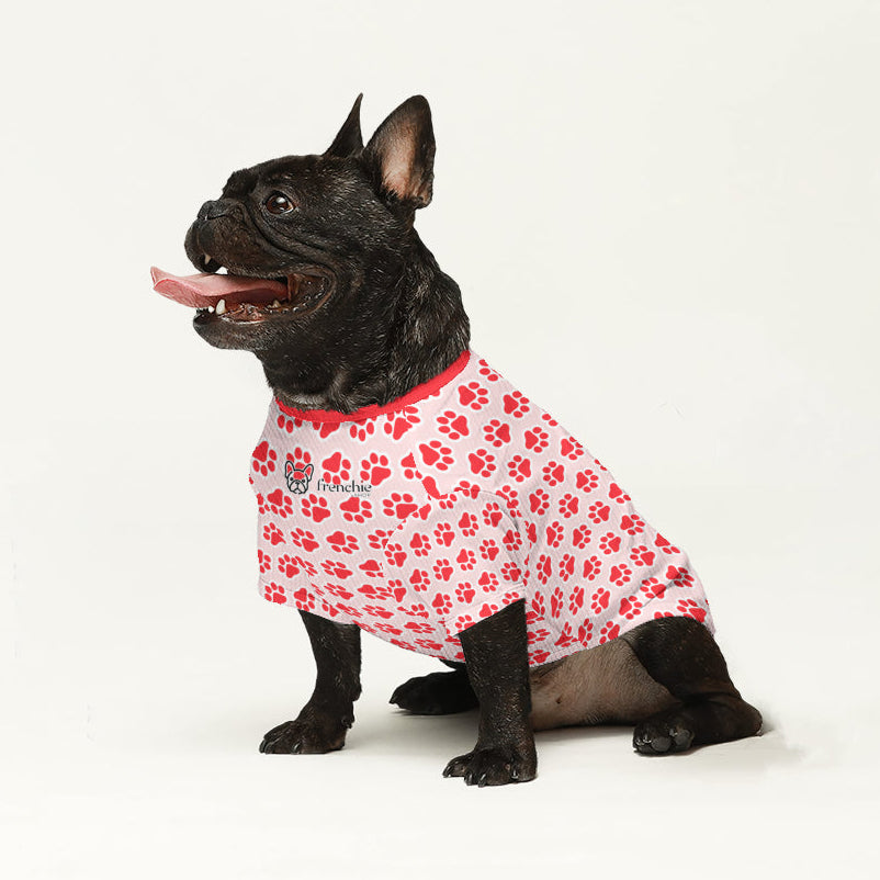 Dex French Bulldog Knit Sweater for Brachycephalic Dogs-fadou