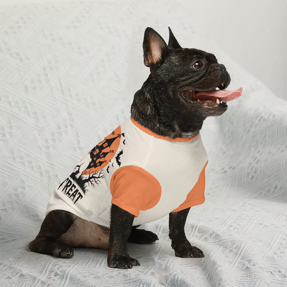 Laura French Bulldog Knit Sweater for Training Sessions-fadou