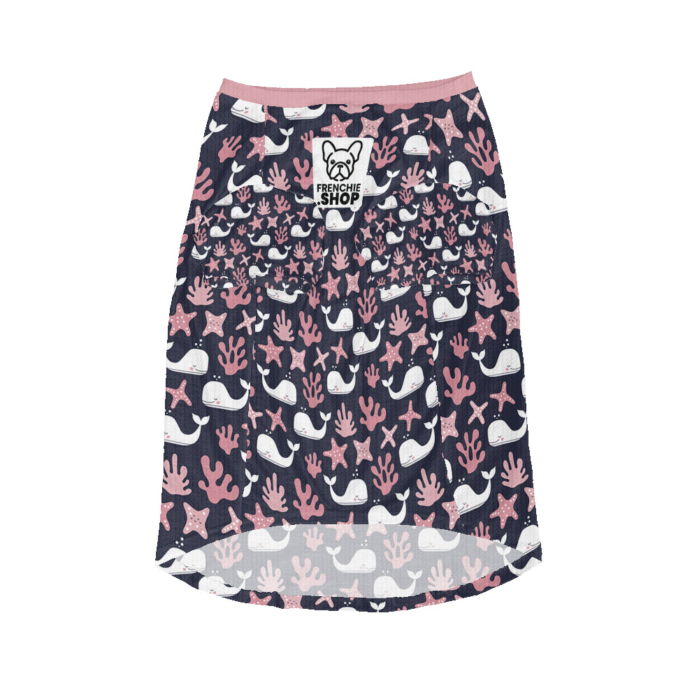 Covi French Bulldog Warm Knitwear for Training Sessions-fadou