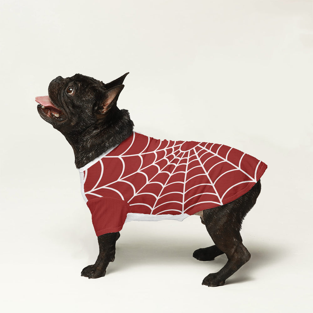 Castor French Bulldog Warm Knitwear for Brachycephalic Dogs-fadou