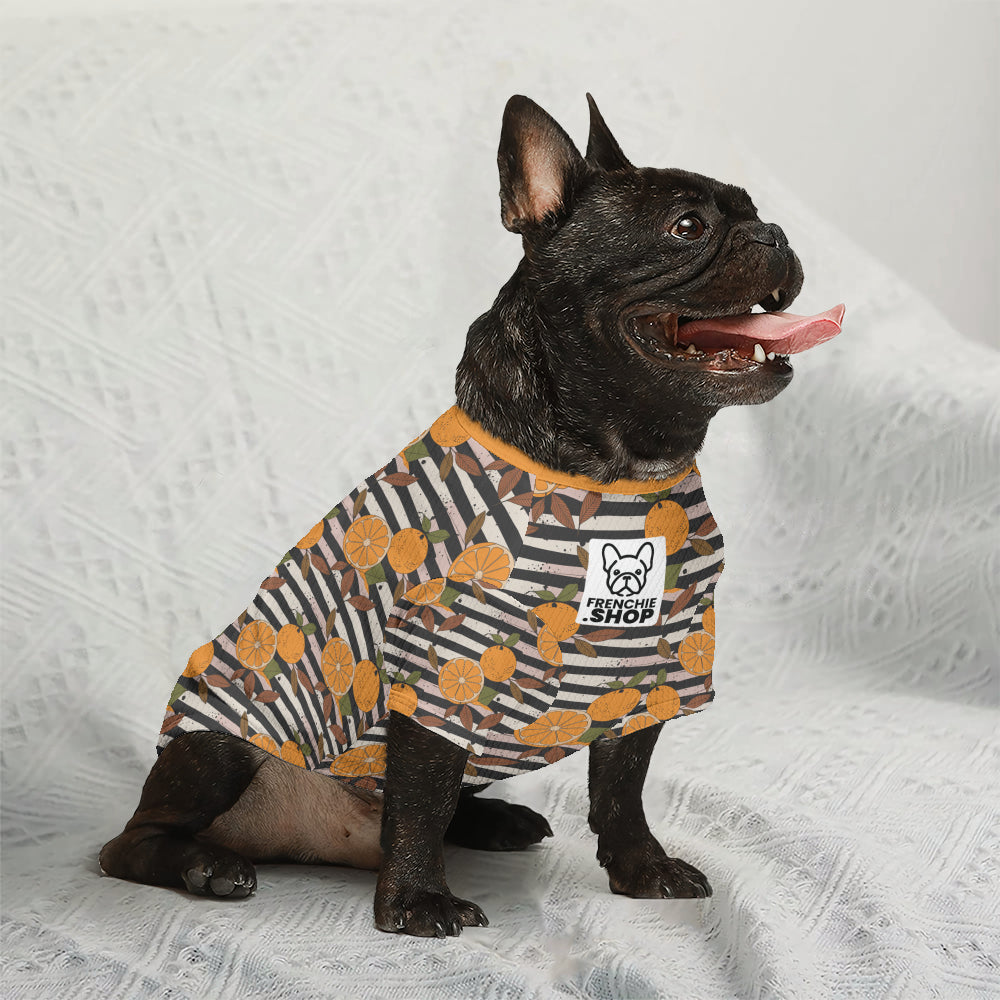Marco French Bulldog Knit Sweater for Training Sessions-fadou